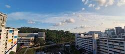 Blk 25 Teck Whye Heights II (Choa Chu Kang), HDB 4 Rooms #482987601